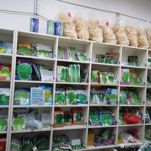 种子店也很赚钱吗