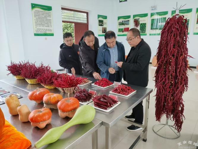 天水市农业农村局开展农作物种子企业生产经营状况核查